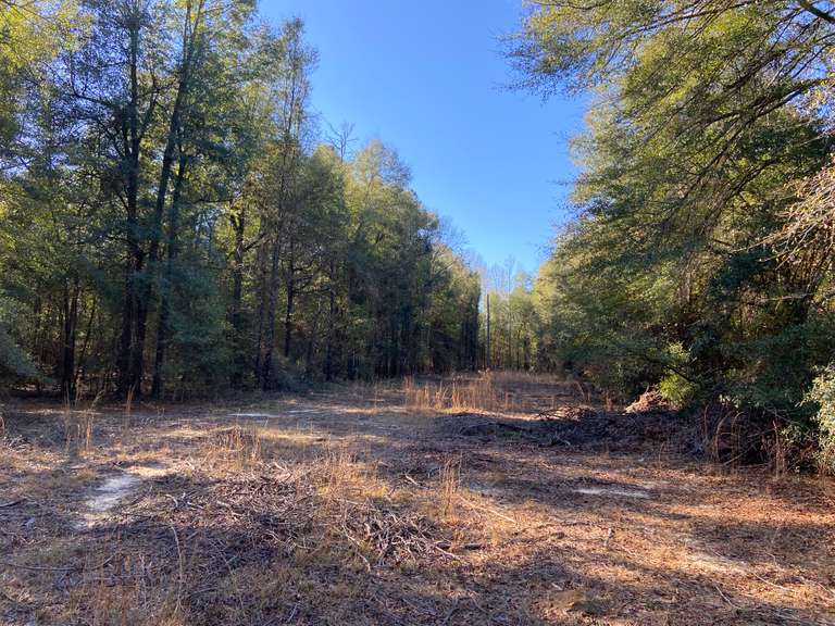 9 Lots in Richmond County, GA South Auction