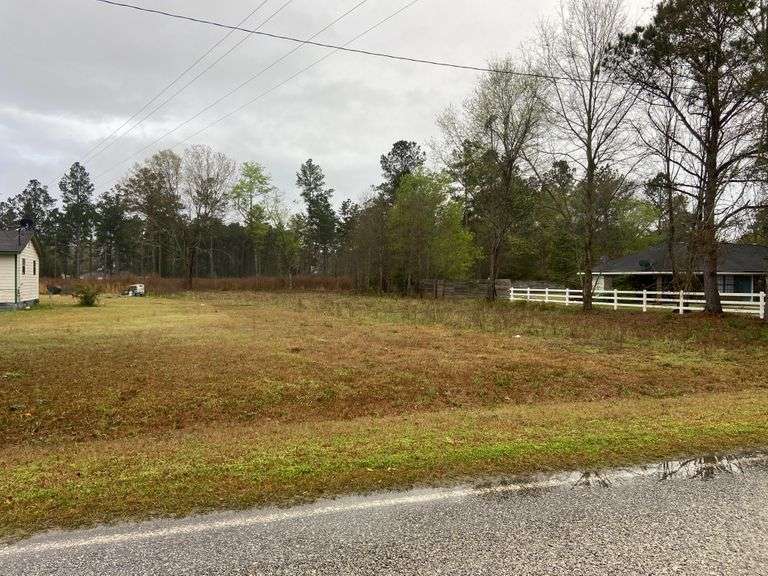 0.49 Acres 300 P W Clifton Rd. Brooklet, GA (Leefield) South Auction