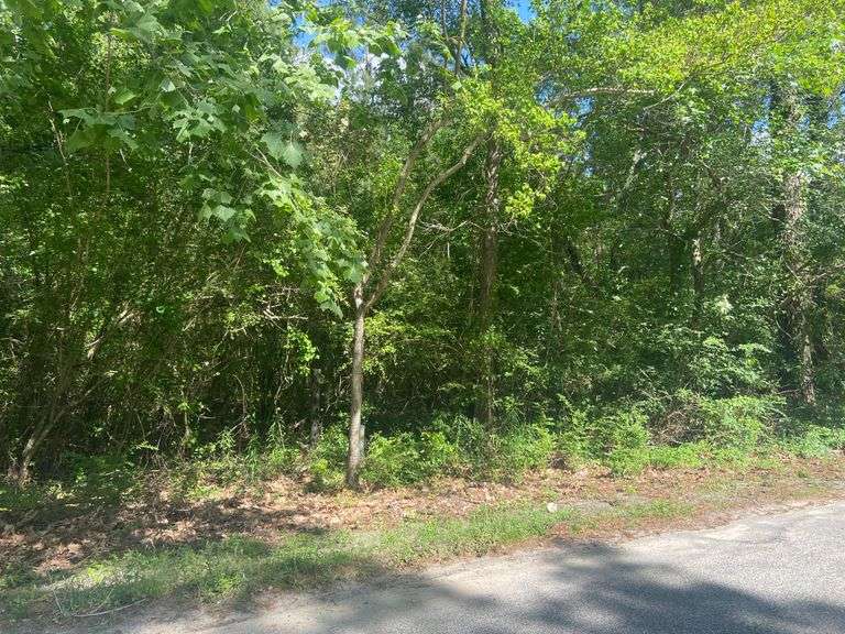 0.74 Acres Eastview Apartment Road, Statesboro, GA South Auction