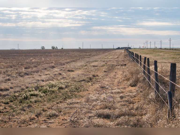 ±162.40 ACRES Grazing Land Superior Land Auction