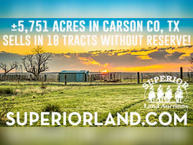 Carson County Online MultiPar Auction Triangle Land Auctions
