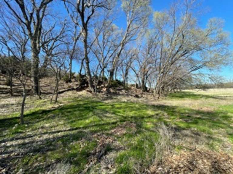 156 ACRES, Cowley County J.P. Weigand & Sons, Inc. Auction Division