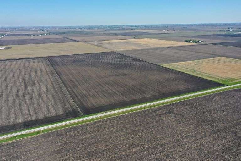 80 Acres Wright County SOLD!!! Whitaker Marketing Group Auctions