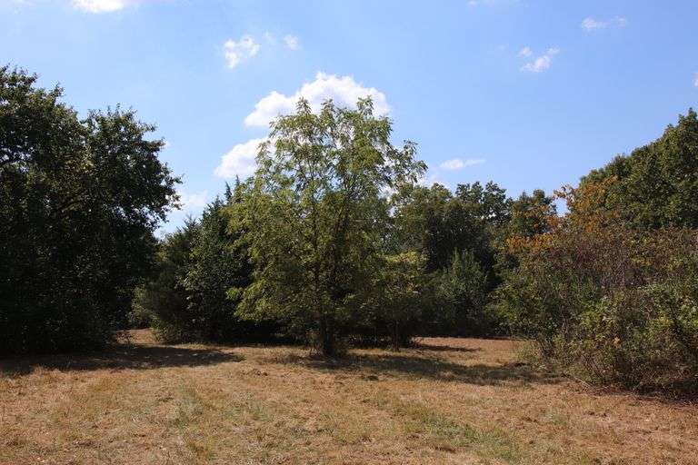 Past Auctions Wolfe Auction & Realty, LLC