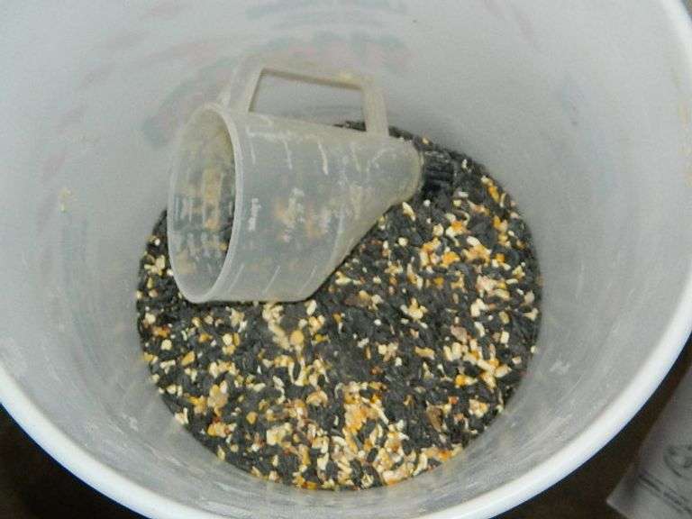 Bird Seed & Corn Wolfe Auction & Realty, LLC