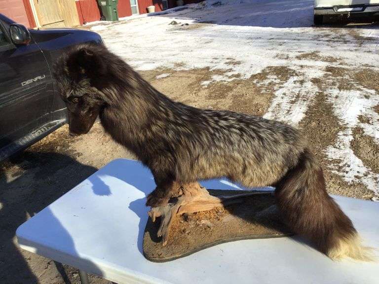 Blocks Auction Ziemer Hilbrands Auctions