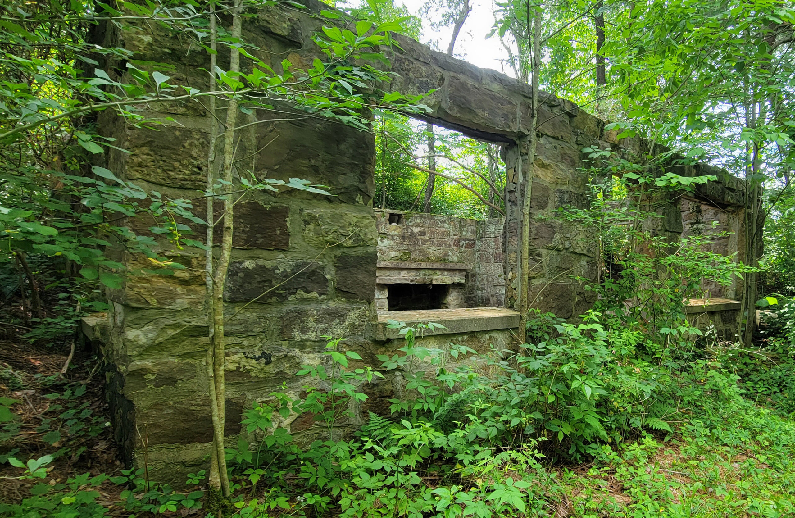 Sportsman's Paradise Real Estate Wilcox, PA Freeman Yoder Auctions