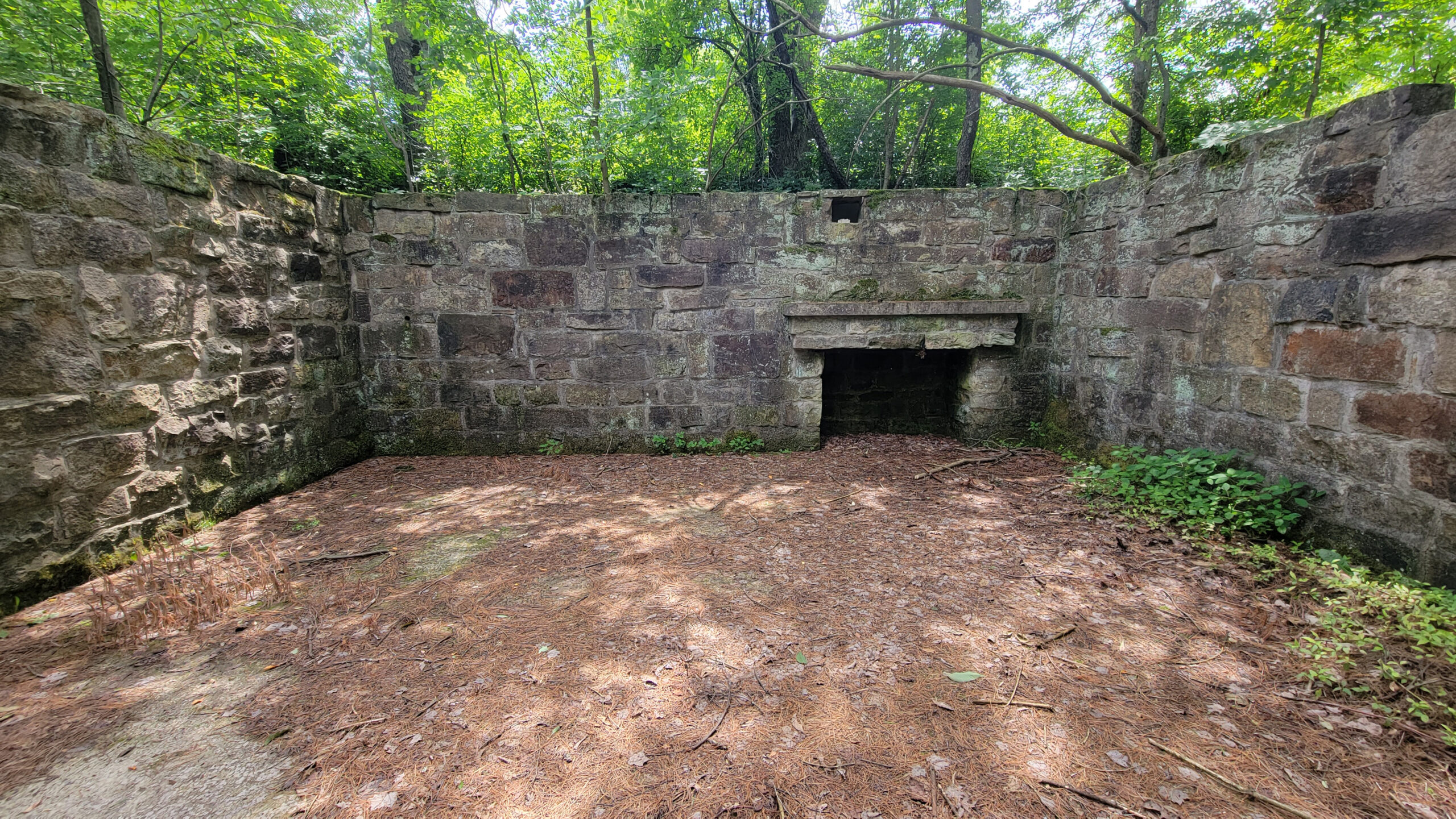 Sportsman's Paradise Real Estate Wilcox, PA Freeman Yoder Auctions