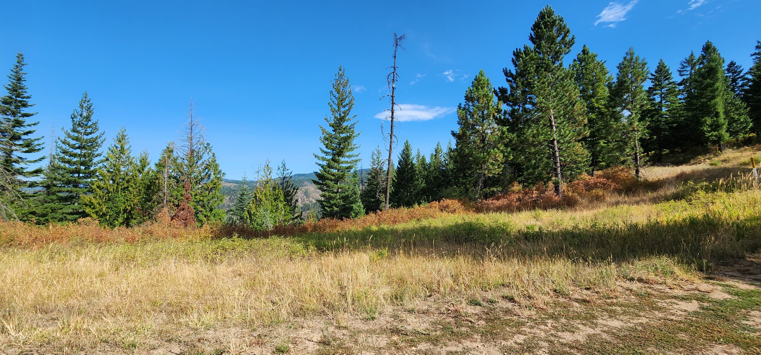 Online Auction Rural Land, 10 Kingston Way, Kingston, ID CWS Auctions