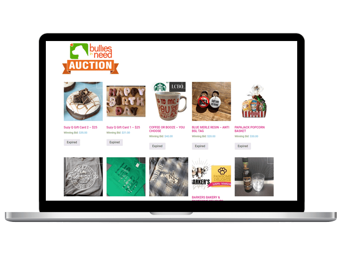 Bin Auctions Ultimate Auction Pro Plugin