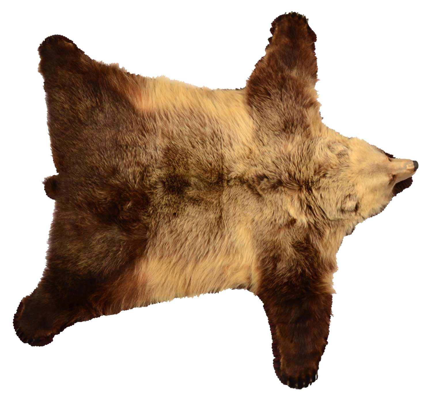 Lot Detail FANTASTIC GRIZZLY BEAR FULL RUG.