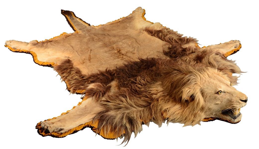 Lot Detail AFRICAN LION SKIN RUG.