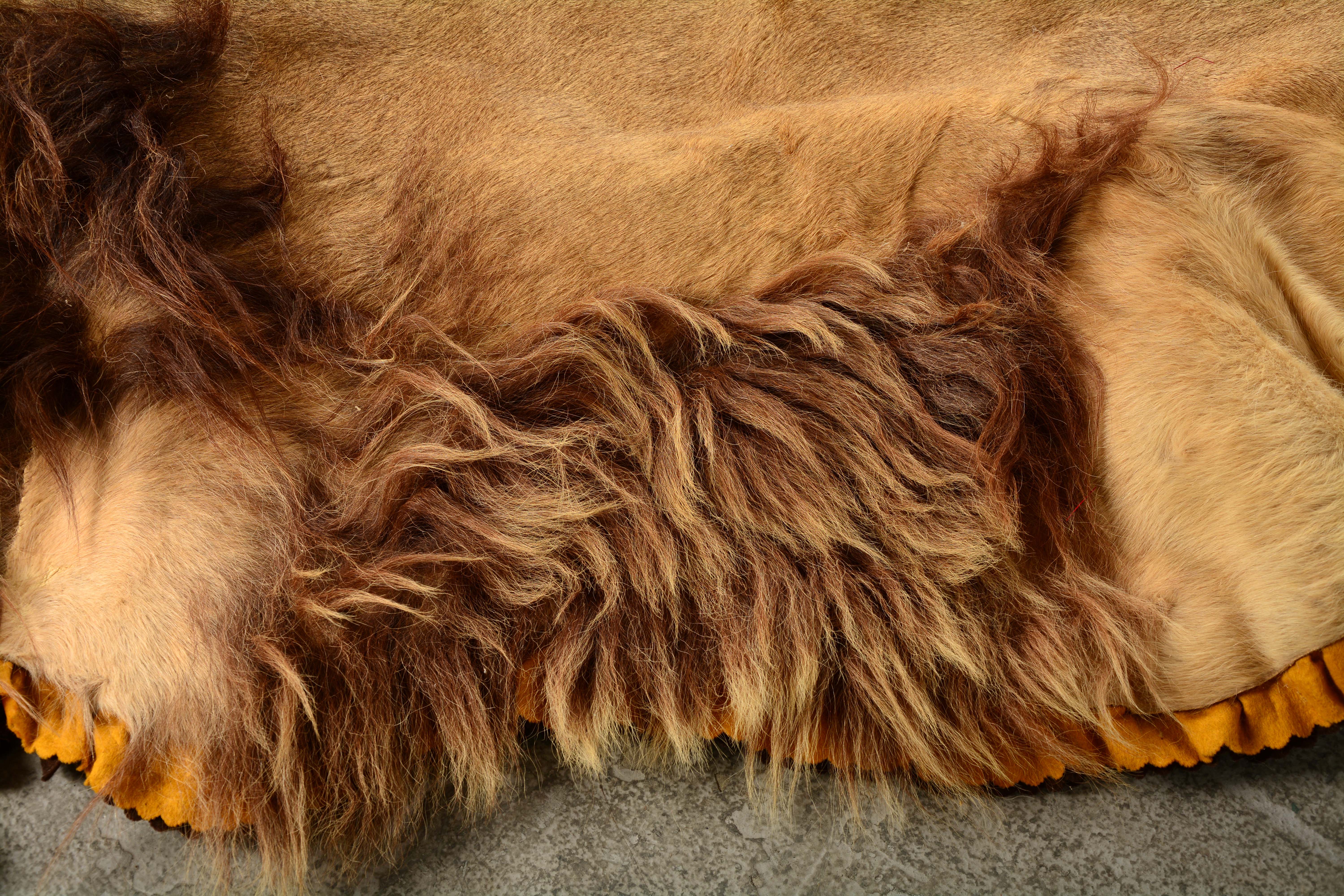 Lot Detail AFRICAN LION SKIN RUG.