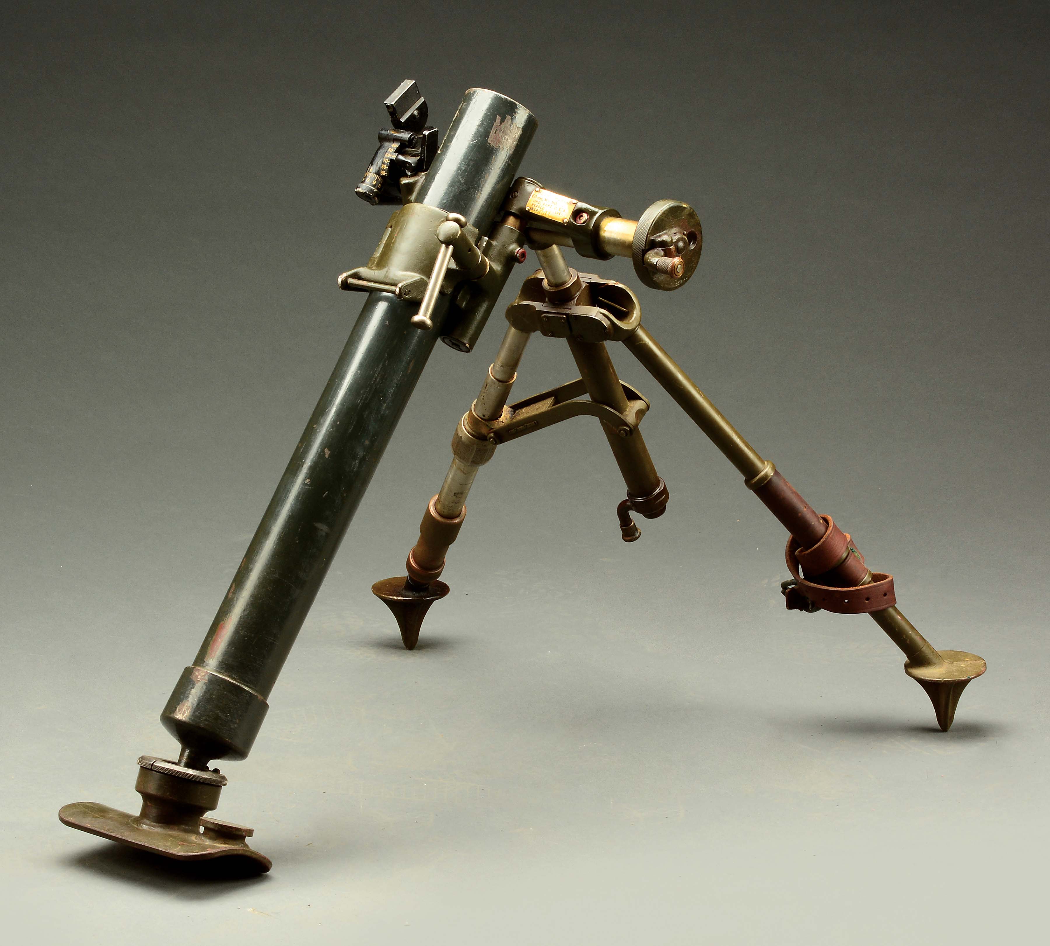 Lot Detail (D) EXTREMELY FINE ORIGINAL AMNESTY REGISTERED U.S. M5