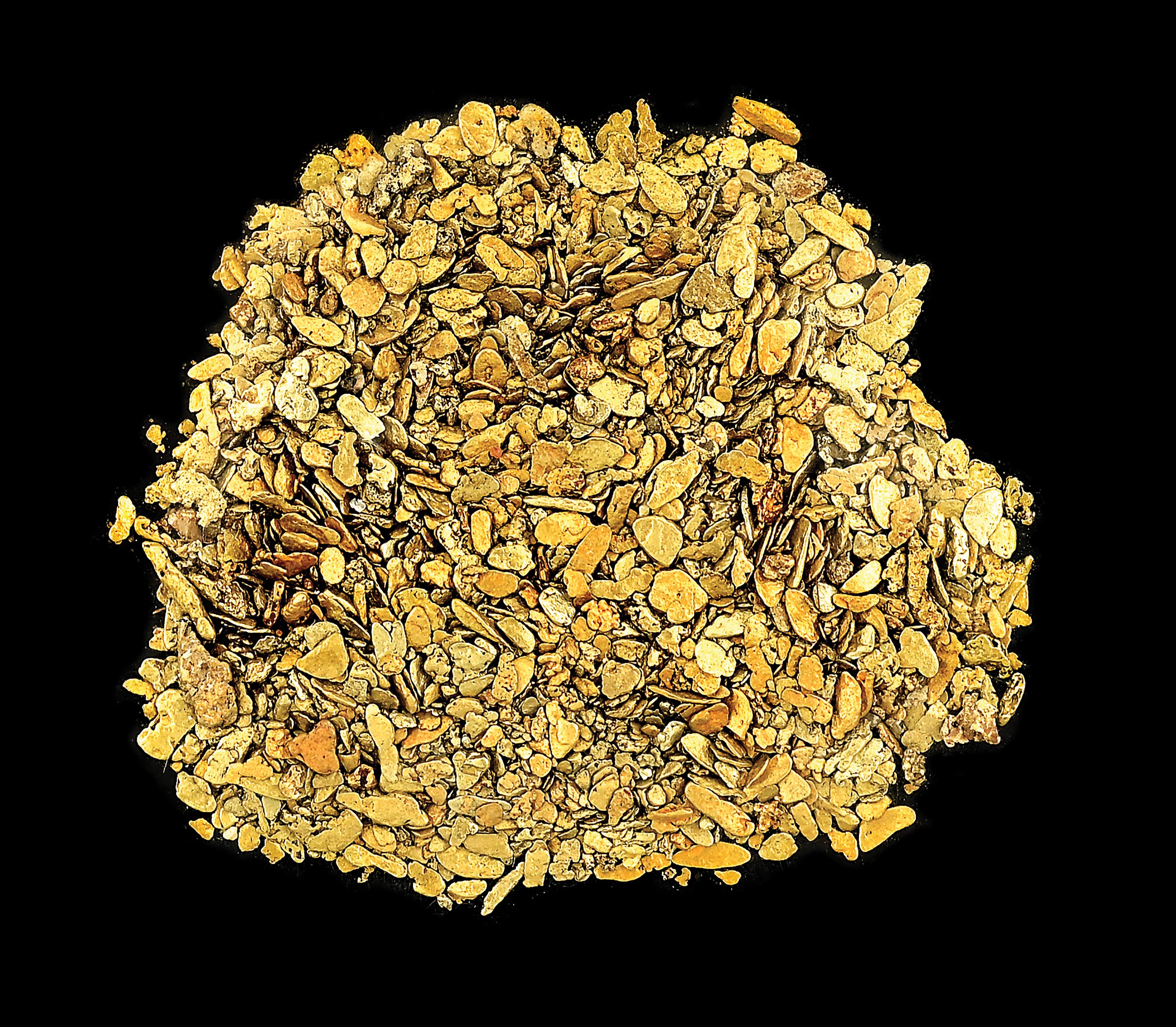 Lot Detail GOLD DUST 47 GRAMS.