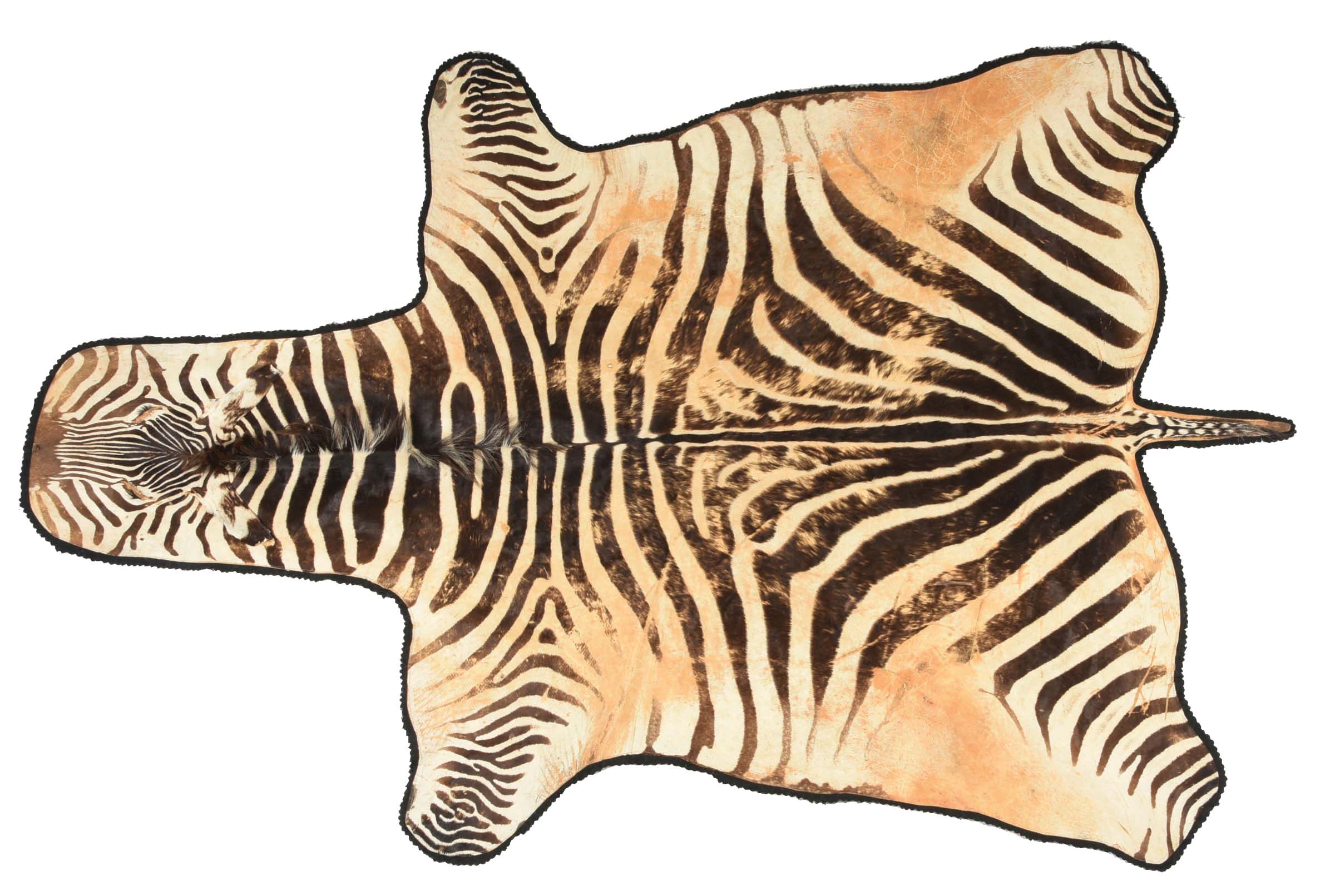 Lot Detail ZEBRA SKIN RUG.