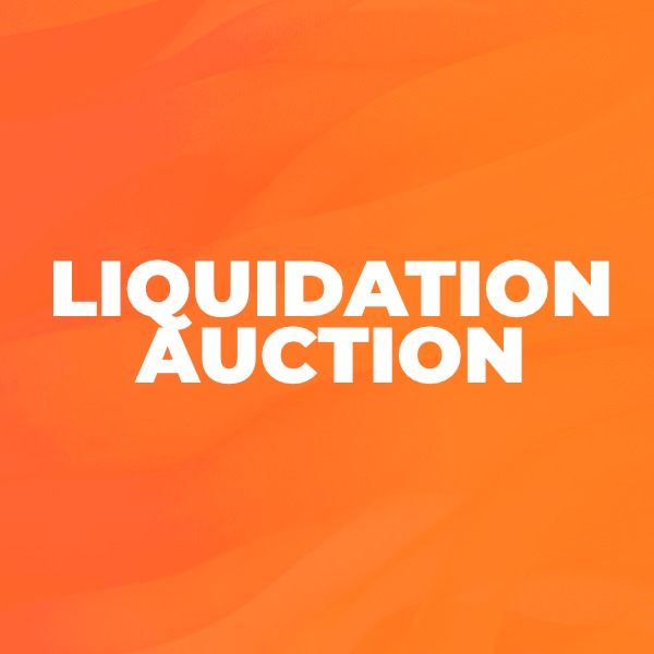 Weekly Liquidation Auction AuctionsOntario.ca