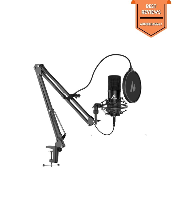 Top Picks Best Vocal Mic Under 500 for Studio Quality Sound