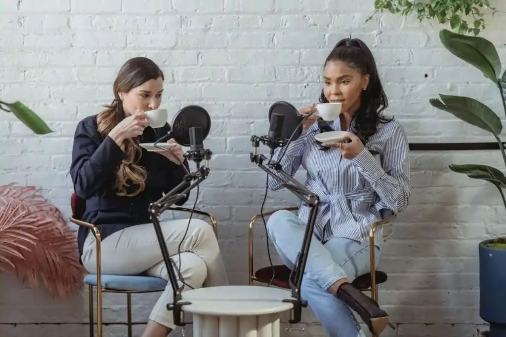 Top 5 Best Condenser Mic Under 500 in [2024]