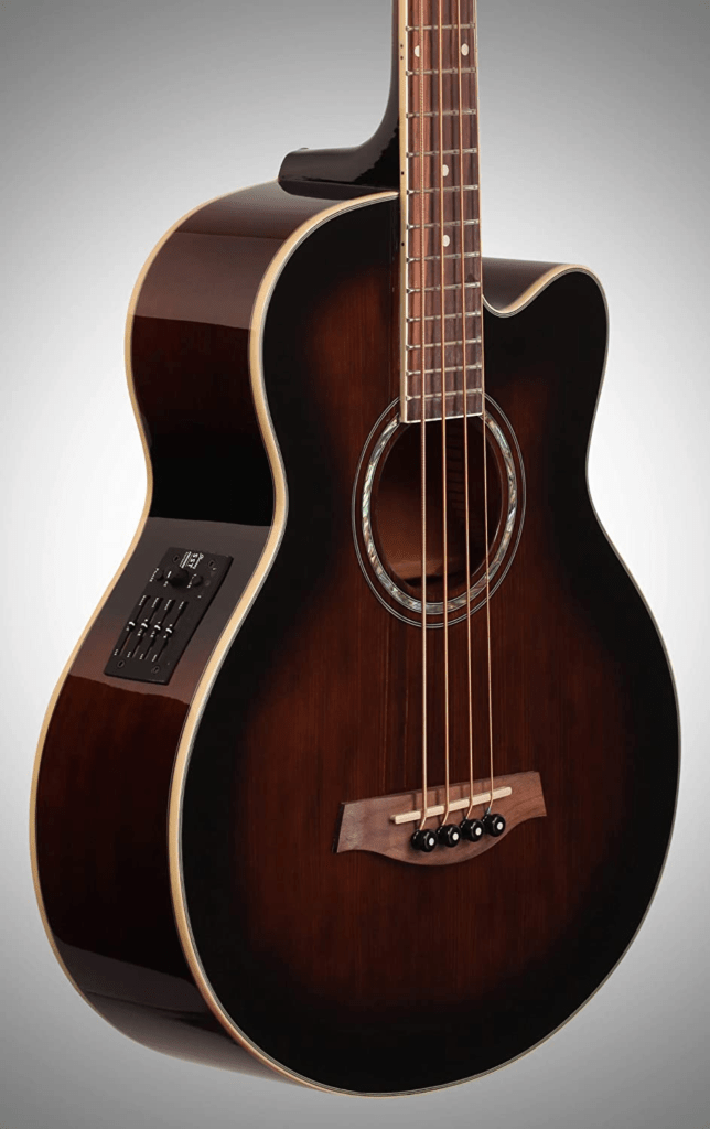 Best Acoustic Bass Guitar Under 500 to Buy in 2024