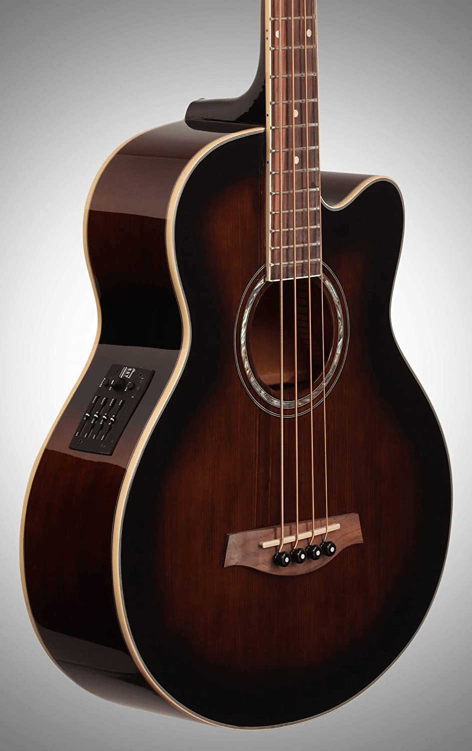 Best Acoustic Bass Guitar Under 500 to Buy in 2024