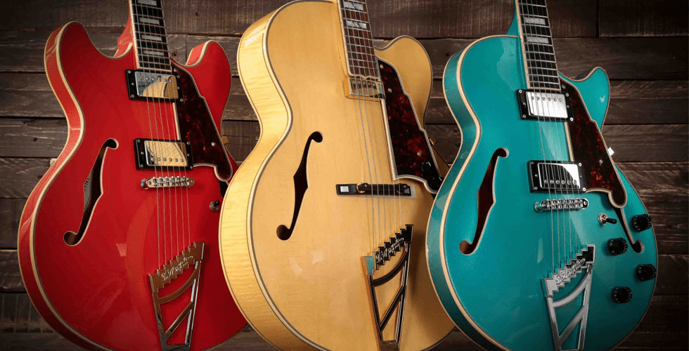 Types of Electric Guitar & Pickups Explained