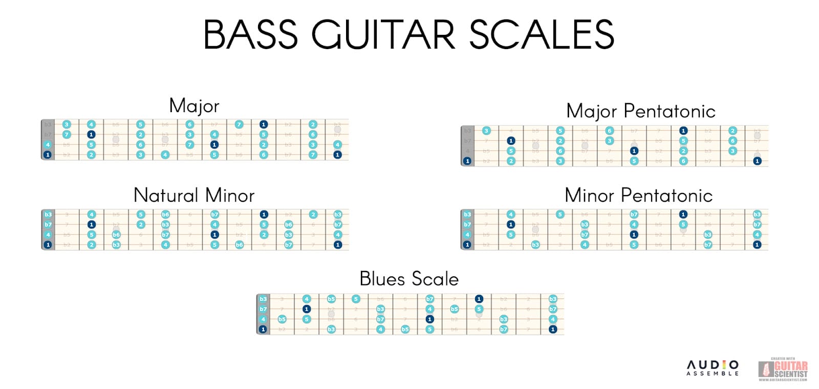 Best Bass Scales Chart Audio Assemble 2022