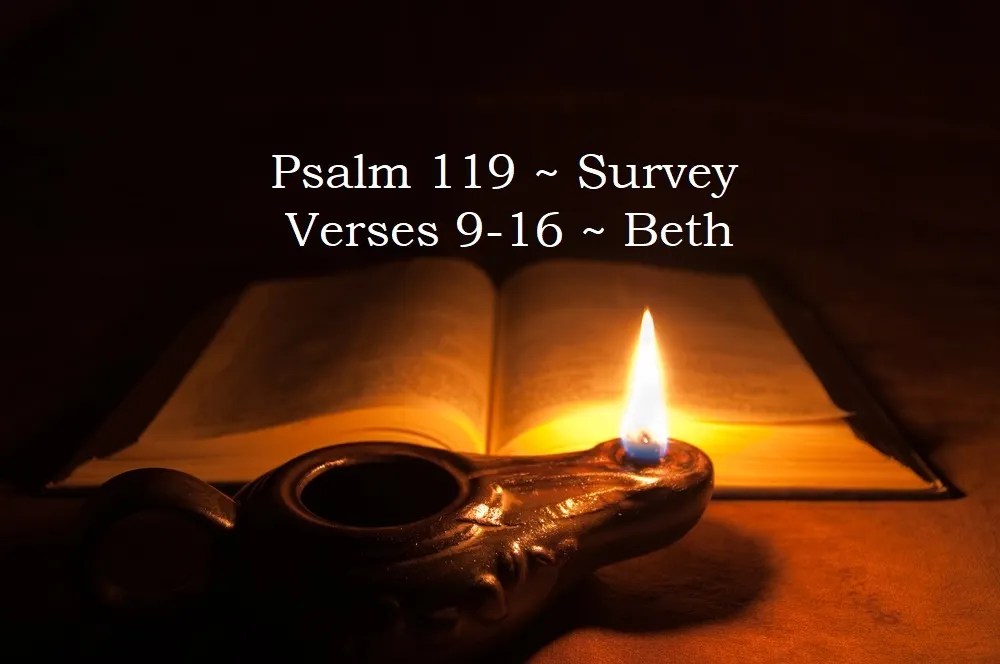 Holding Fast the Faithful Word / Psalm 119916 Beth