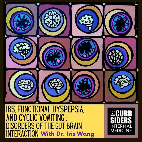 The Curbsiders Internal Medicine Podcast / 334 IBS, Functional