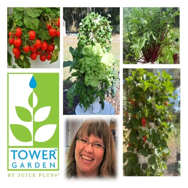 Better Lawns and Gardens / Better Lawns and Gardens Hour 2 Leah Brooks Benefits of Tower