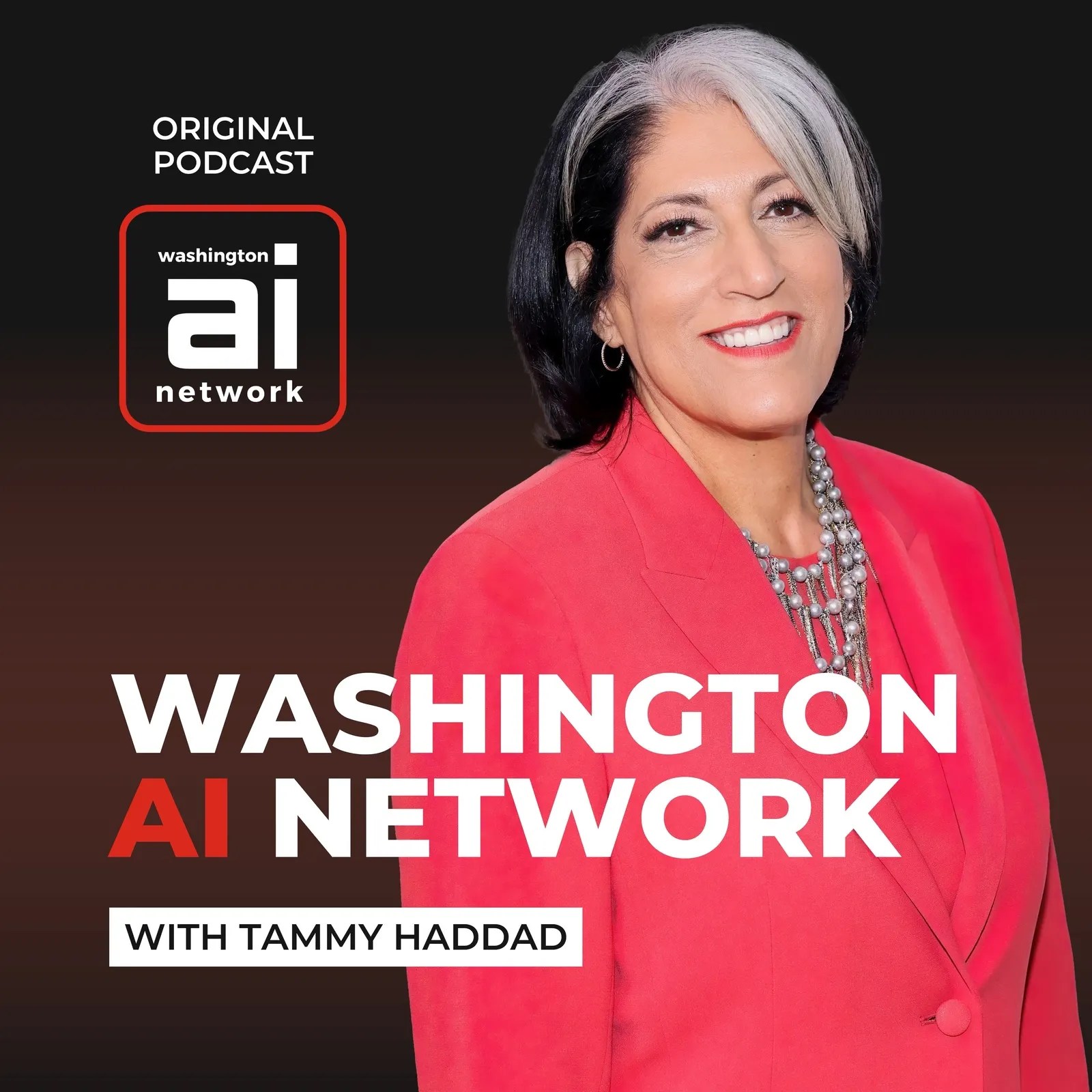 Washington AI Network with Tammy Haddad / Sen. Schumer's AI CEO Forum