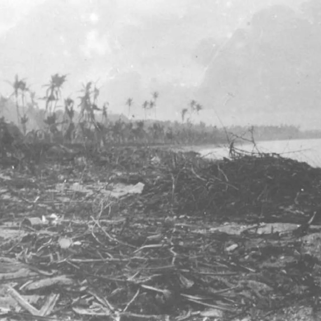 The John Batchelor Show / PREVIEW OCEANIA PRC Conversation with