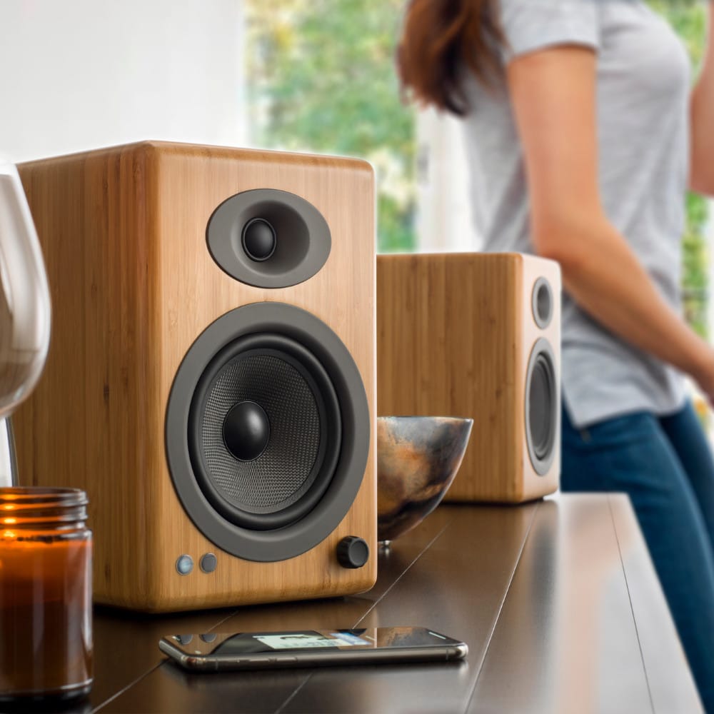 Re Veneer Speaker Matttroy