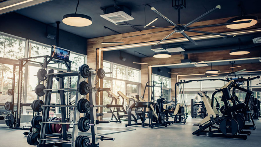 Gym Sound Systems Music System For Gym Gym Speaker System