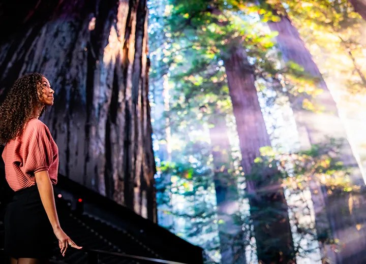 First 'Sphere experience' Postcard From Earth opens today Audio Media