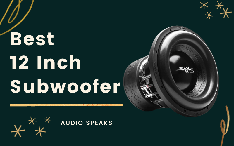 Best 12 Inch Subwoofer Branded, Powerful, Single & Dual Subs