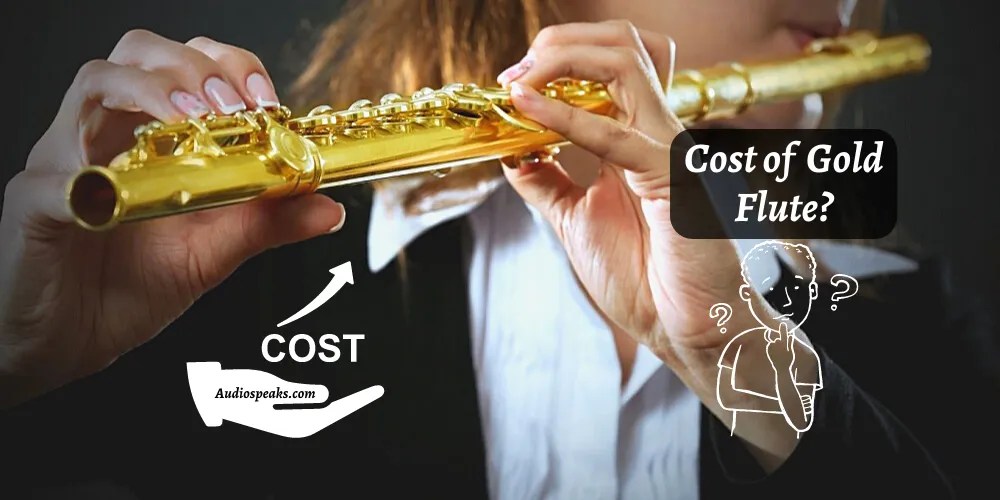 How Much is A Flute Cost? (Pricing Guide) 2024