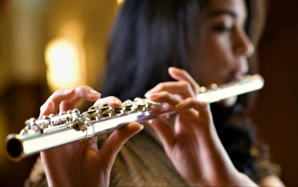 How Much is A Flute Cost? (Pricing Guide) 2024