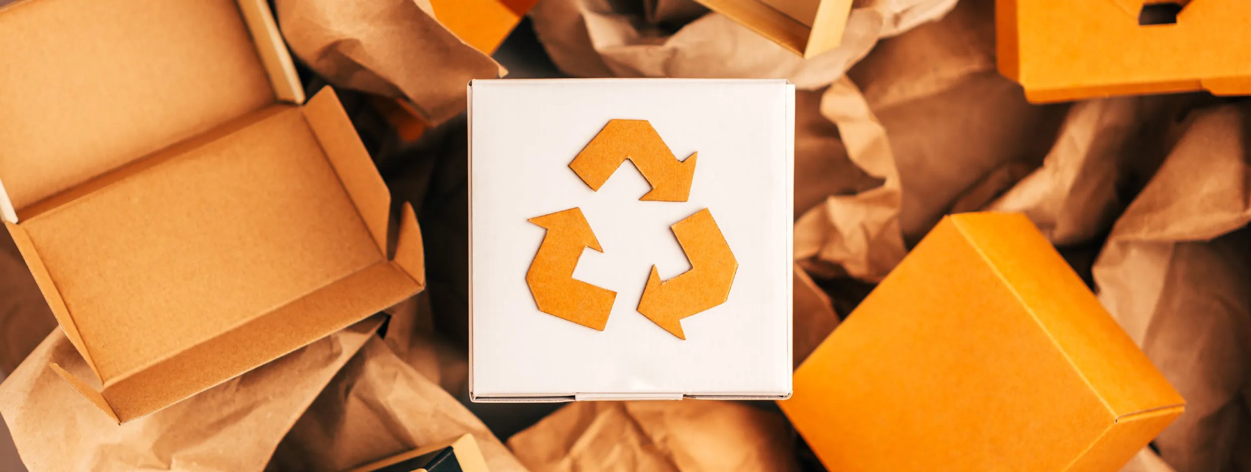 The New Packaging EPR Scheme Why do we need it? Auditel