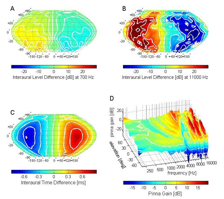 Acoustic cues for sound location Auditory Neuroscience