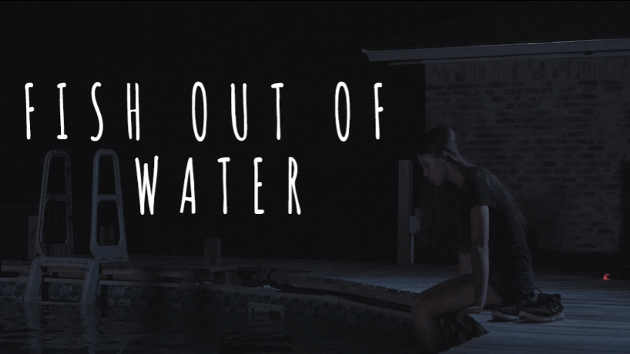 Fish out of Water AudPop