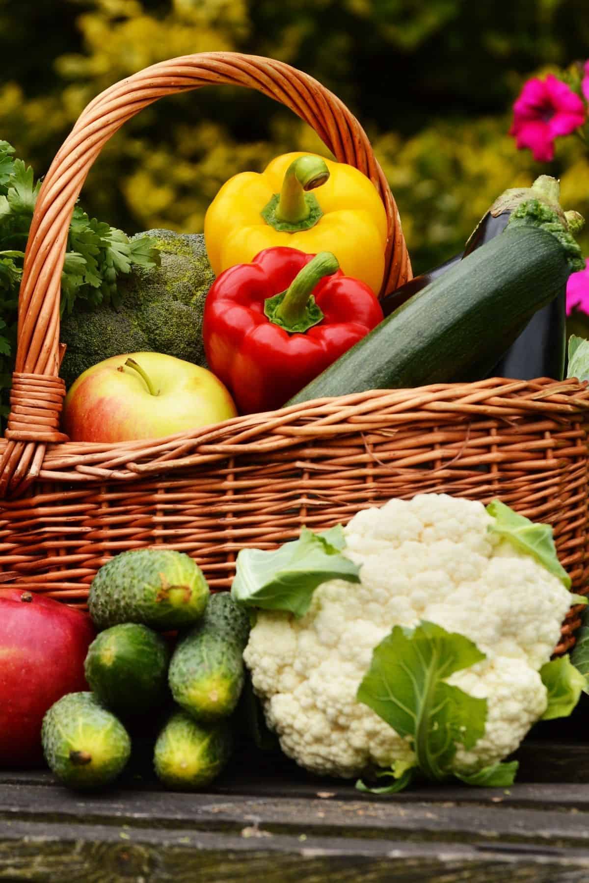 Zone 9b Vegetable Planting Guide Audrey's Little Farm