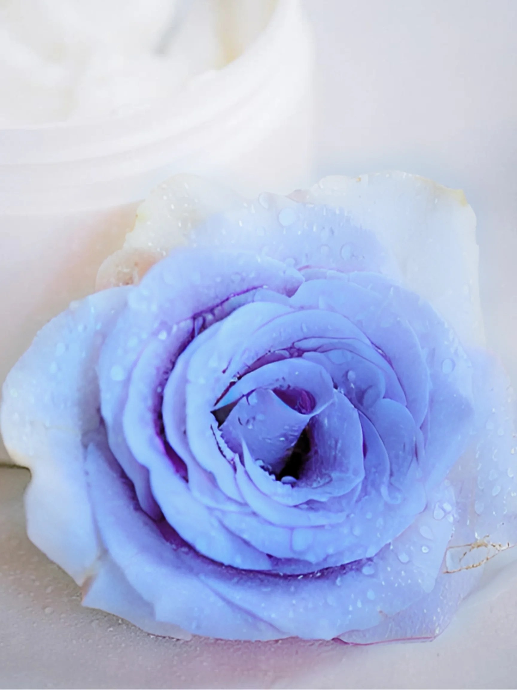 Audrey Thorne Esthetics Skincare Treatments in Bedford, NH