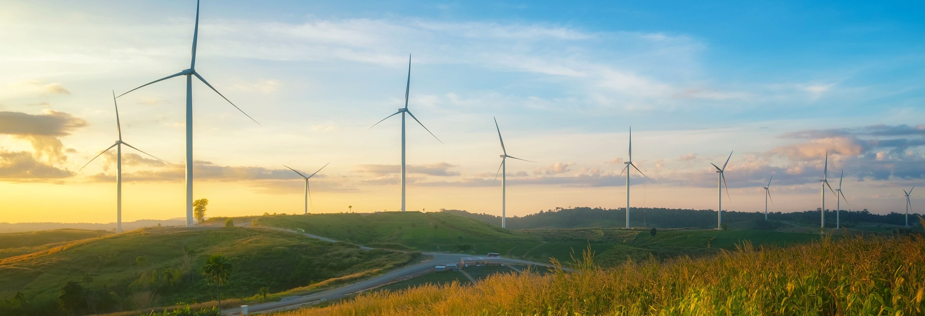 Managed Resources Audubon Land Development