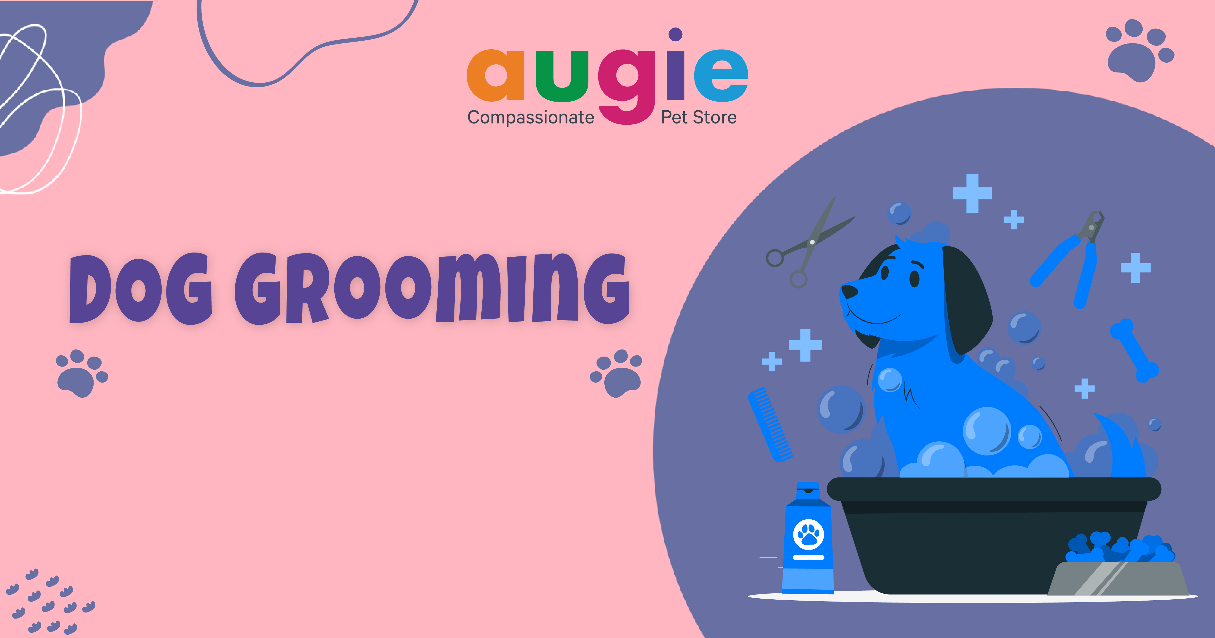 Best Pet Grooming Services In Bangalore Augie Pets Store