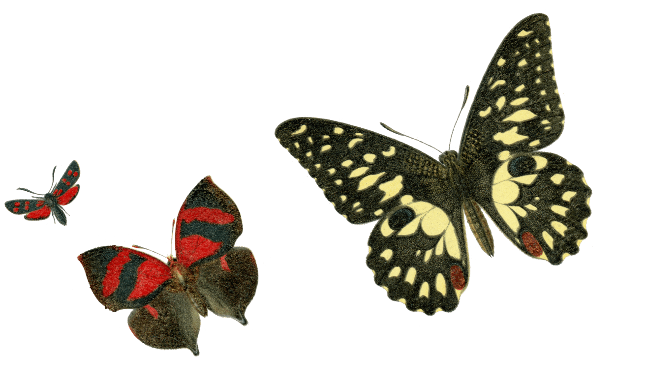 Augie's French Restaurant