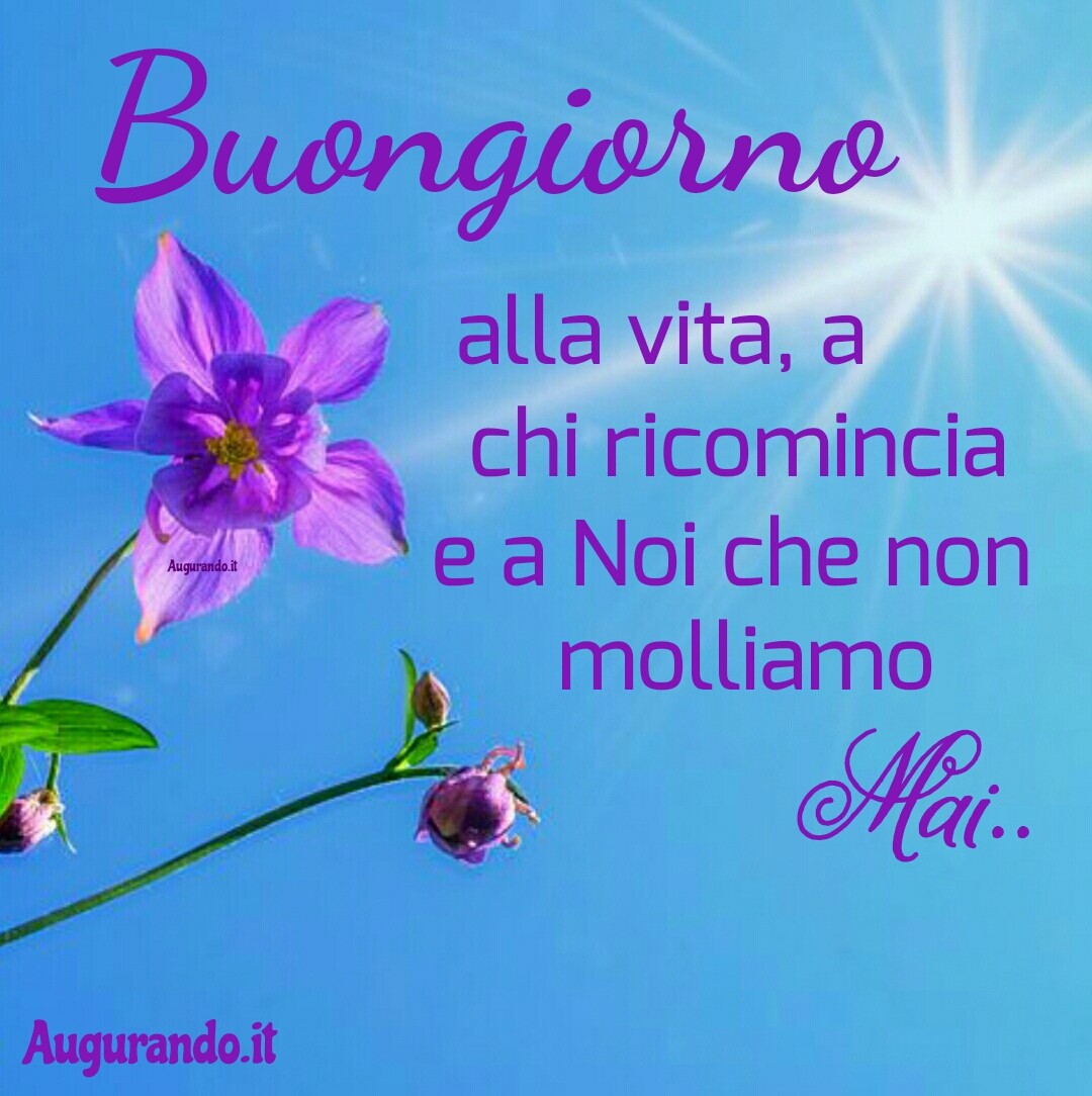Immagini buongiorno le più belle e originali le trovi qui!
