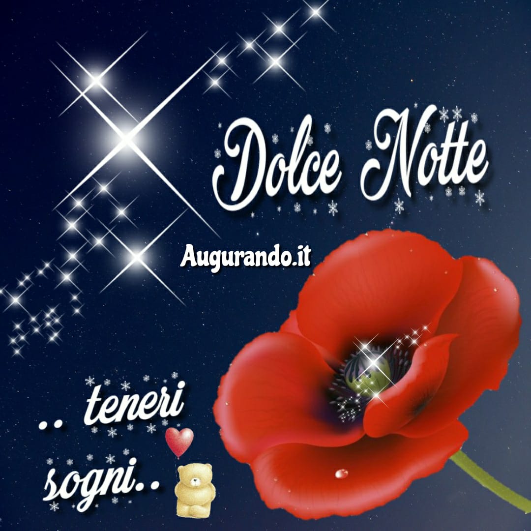 Le Migliori Immagini della Buonanotte per WhatsApp e Facebook!