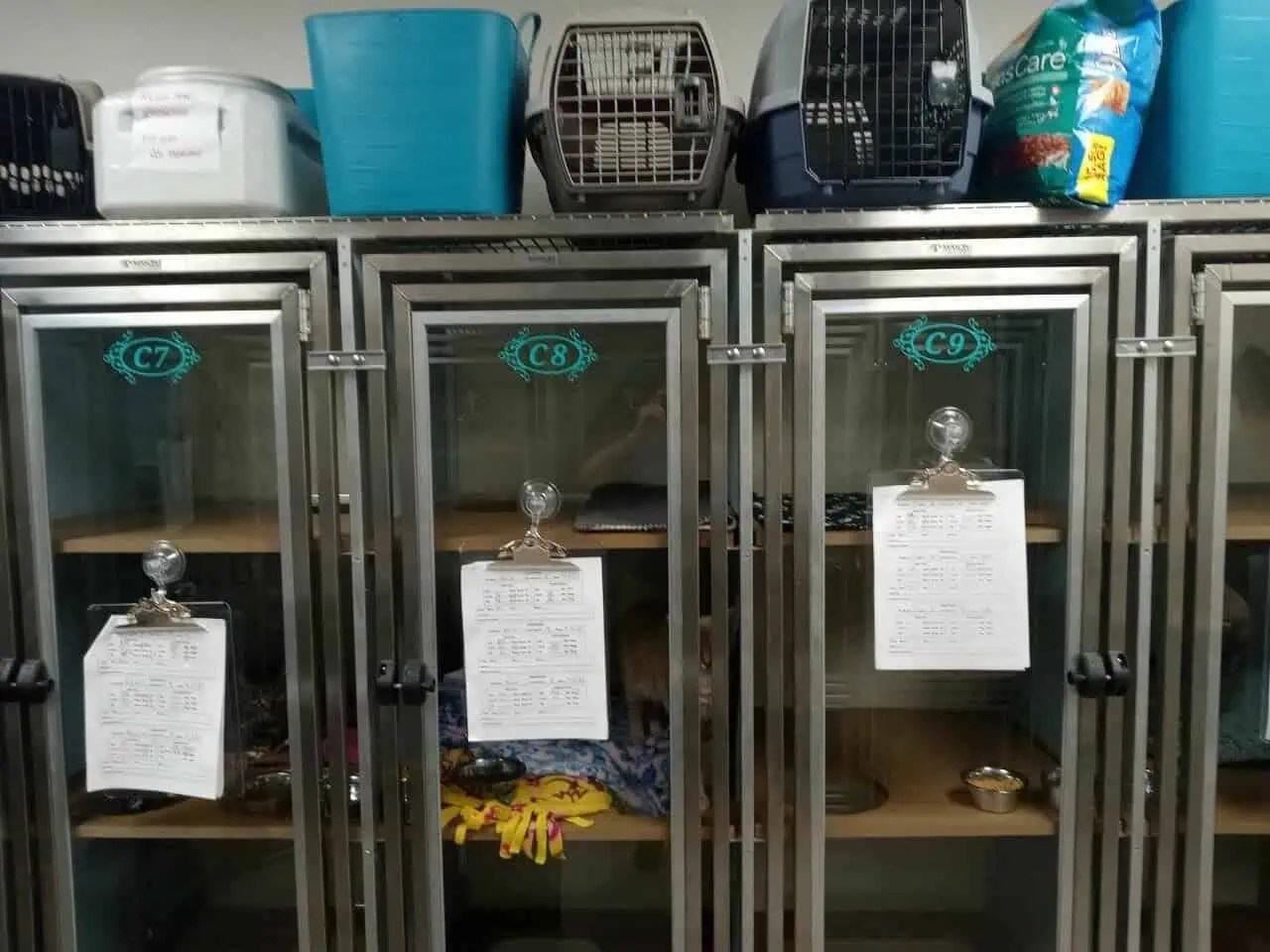 Local pet boarding, grooming business undergoes a master expansion