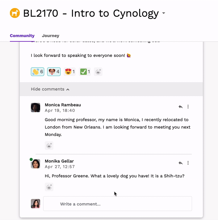 Community Feed Posts and Comments Aula